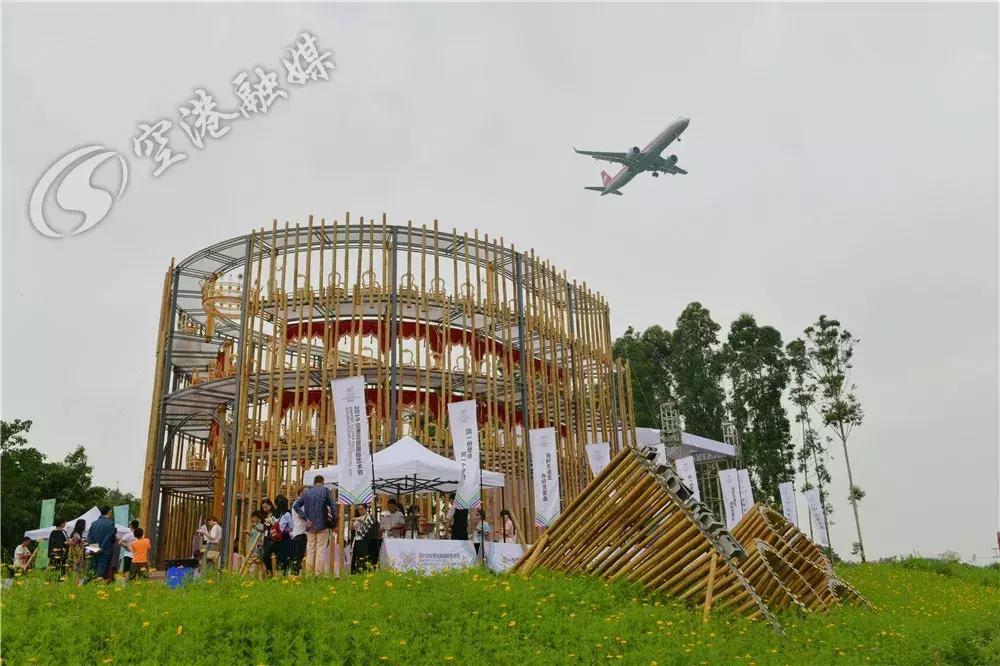 来成都打卡空港花田,成都双流空港花田打卡看飞机