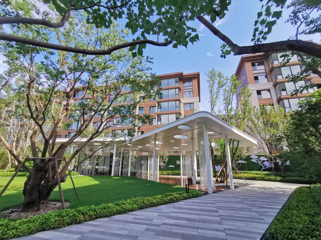 正能量的诗和远方,正商未来之光