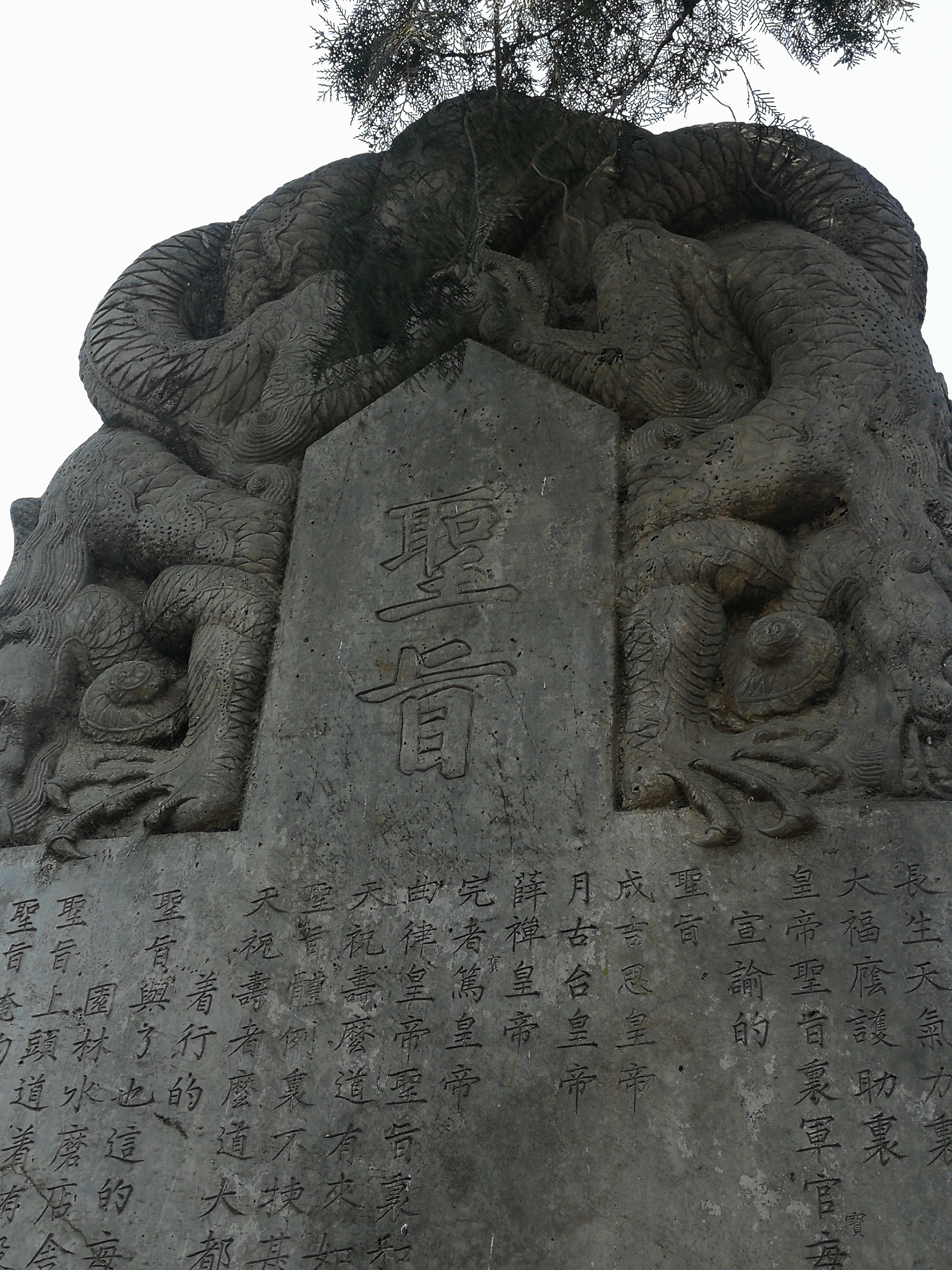 法源寺散文,散文丁香花邂逅法源寺
