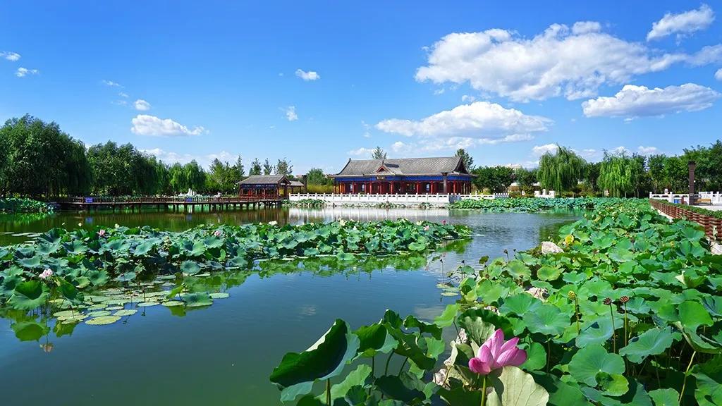 剪一段时光诉说一季的风景,剪一段时光诉说游走的风景