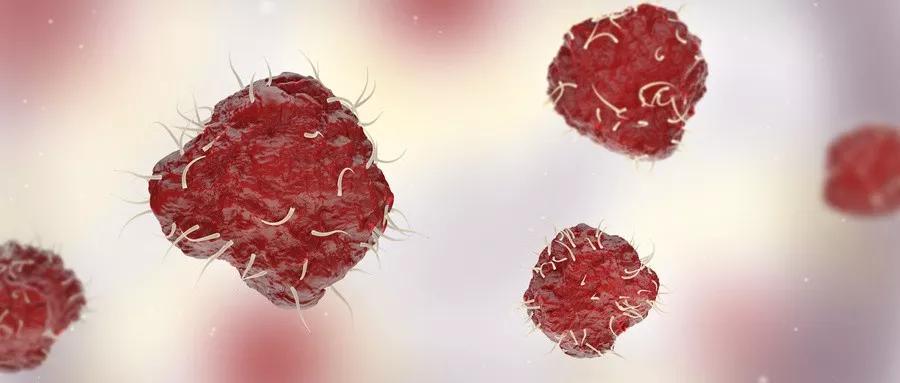 化疗放疗过后身体发热是怎么回事,化疗时发烧要停止化疗吗