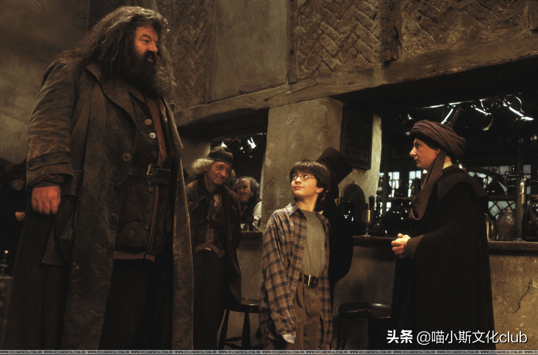 哈利波特中的海格是怎么死的,海格和马克西姆夫人身高差