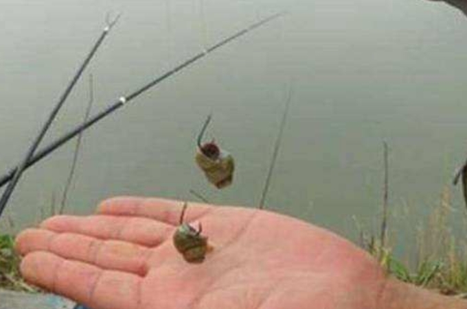 野钓用特效饵,五种逆天钓饵骨灰级钓友一定用过