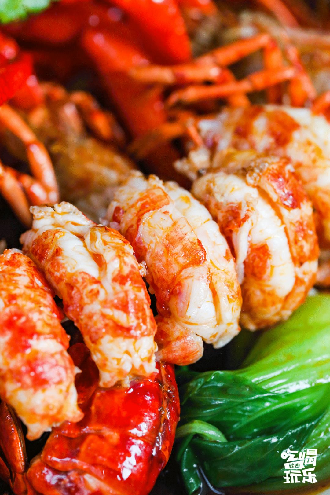 长沙城南绝美音乐餐厅！7.8折吃遍全国精致料理