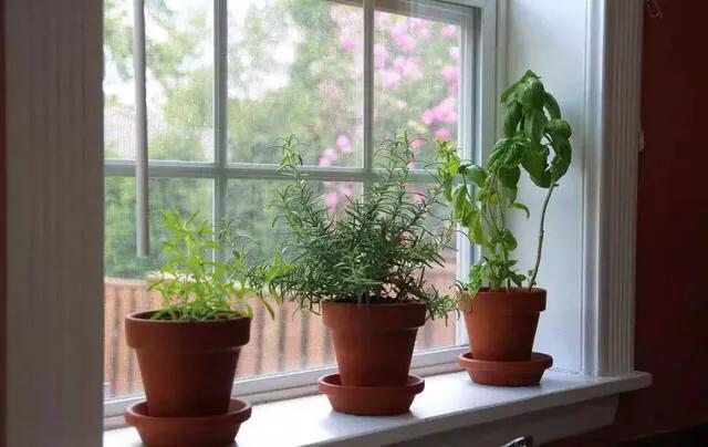 飘窗要不要留小耳朵,飘窗需要留两个耳朵吗