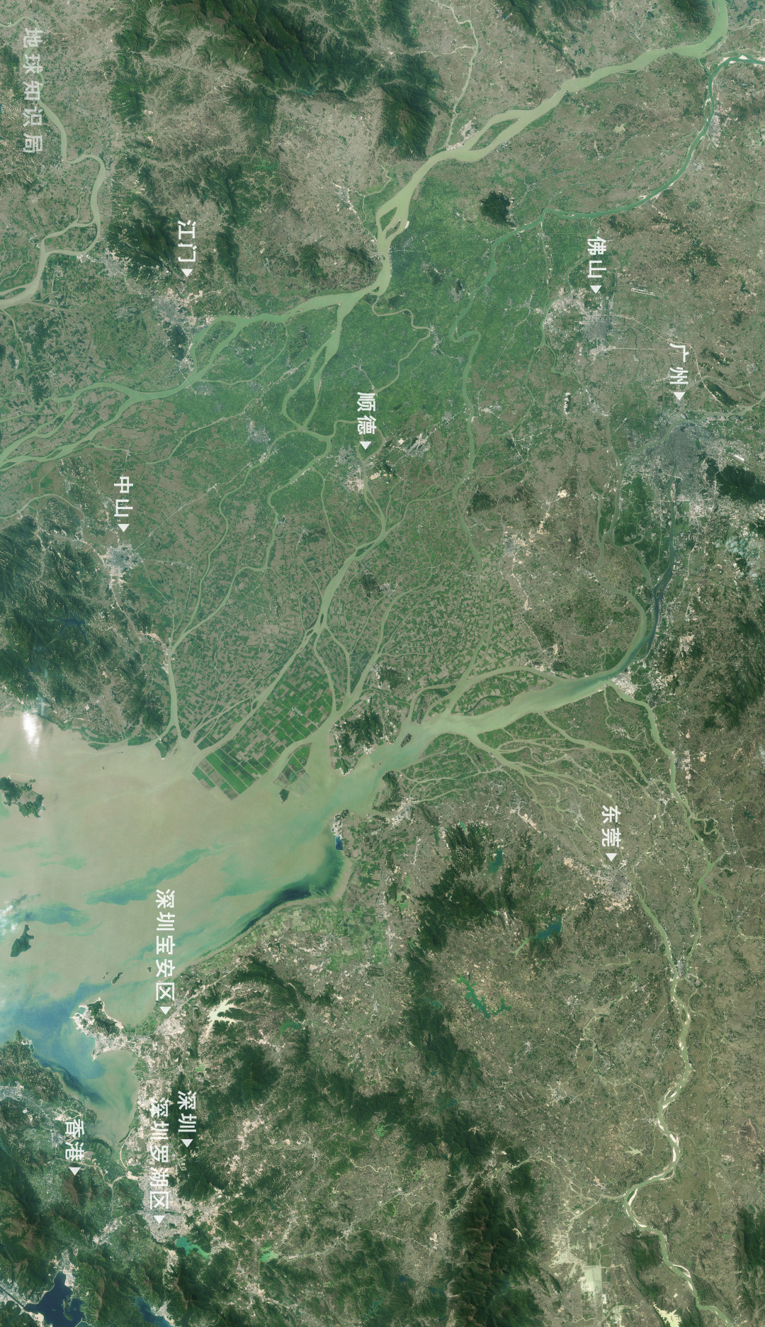 深圳知识局,深圳的中心是福田吗