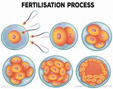 复查ct肺结节消失了,做了ct发现有肺结节复查没有了
