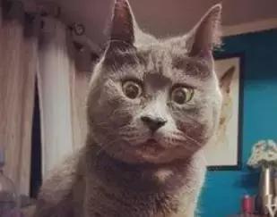 央视曝光的假货最全名单来了,央视报道的陕西假货事件