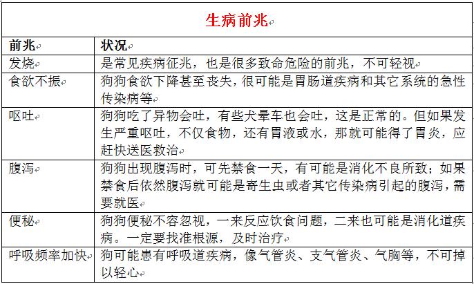狗狗生病了作为主人该怎么应对,狗狗突然生病主人大哭