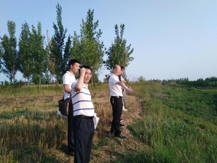 如何打造生态农庄,生态农庄经营方案