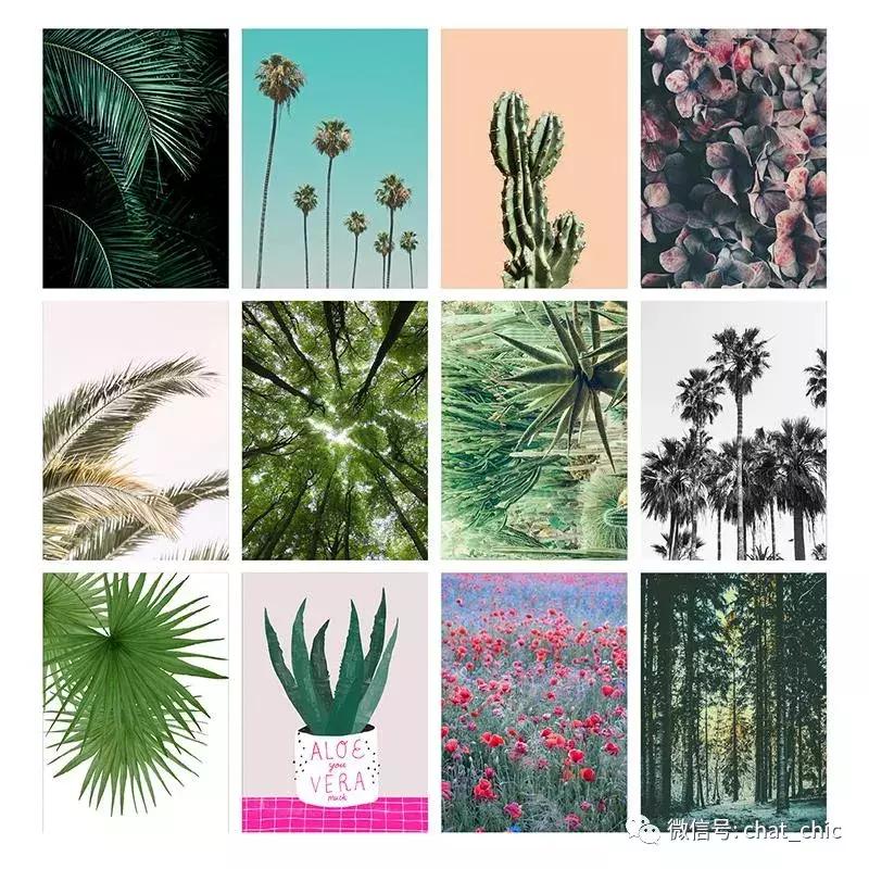 各种奇葩圣诞节,圣诞节奇葩日历