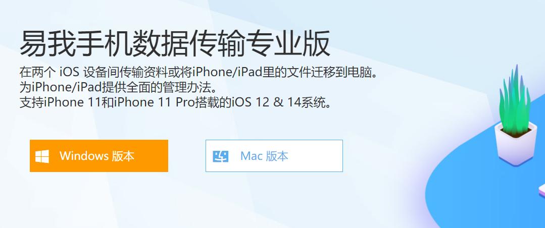 苹果13pro双卡经常出现无服务,苹果11pro经常出现无服务怎么处理