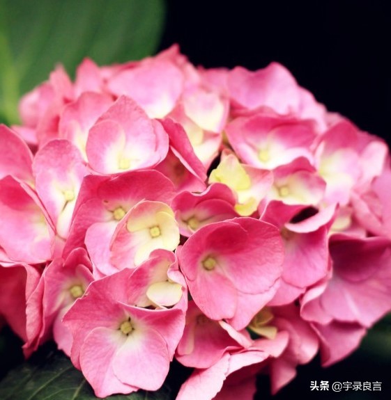 简短精辟的个性签名语录,个性签名经典语录精辟的短句