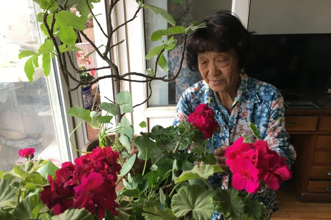 道德模范植树,道德模范2021名单事迹