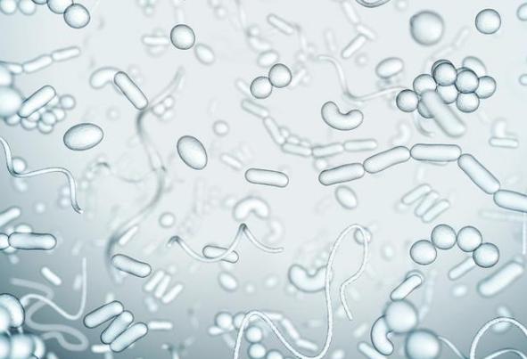 关于*裤内**的小秘密，你知道吗？