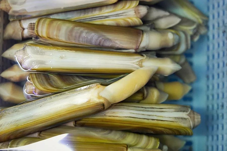 港式花胶鸡打边炉正宗做法,简易龙虾汤泡饭