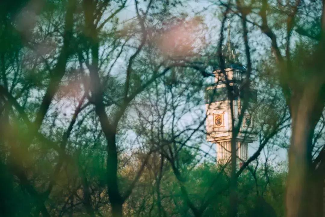 中国最好的大学食堂排名,南京高校餐厅哪家好