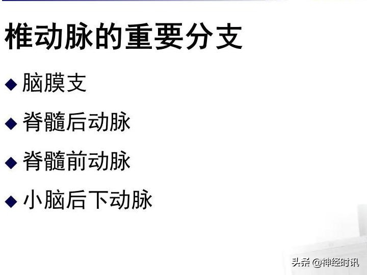 脑动脉解剖学讲解,基底节区脑血管解剖