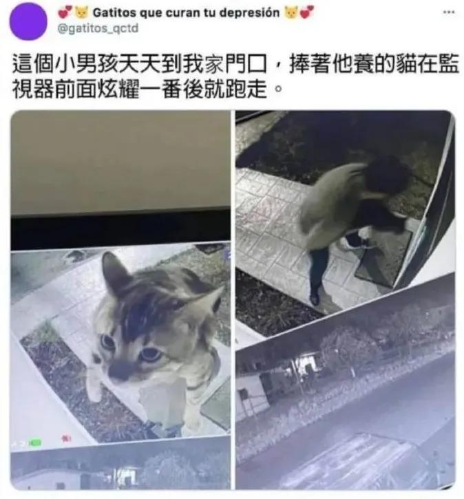 男团成员下海成女主、鹤与人类成真夫妻,今年沙雕新闻也太卷了吧