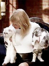 「JALOUSE」有一说一,我确实馋他们的身子