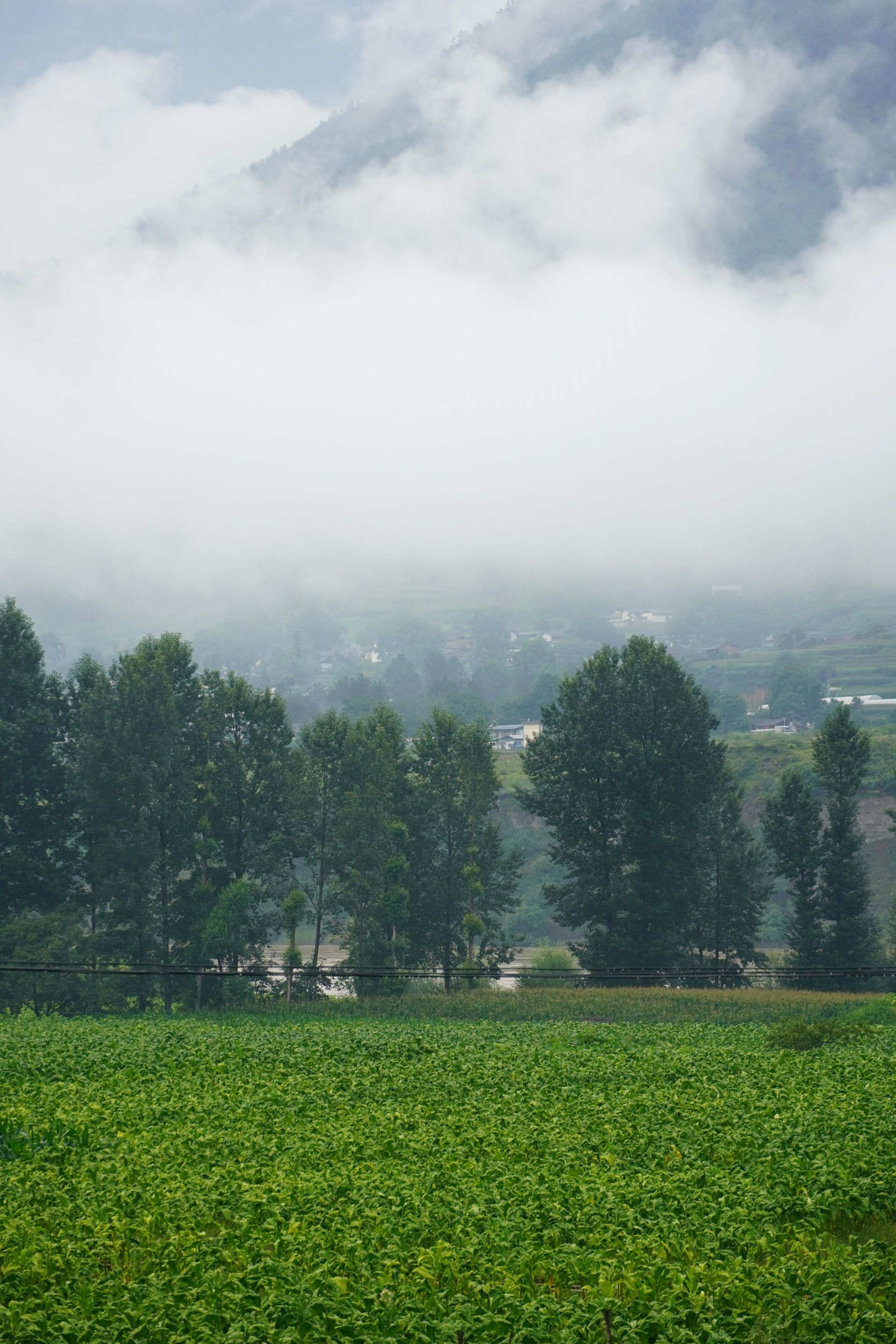 “乡”约丽江塔城,这里有你向往的田园生活