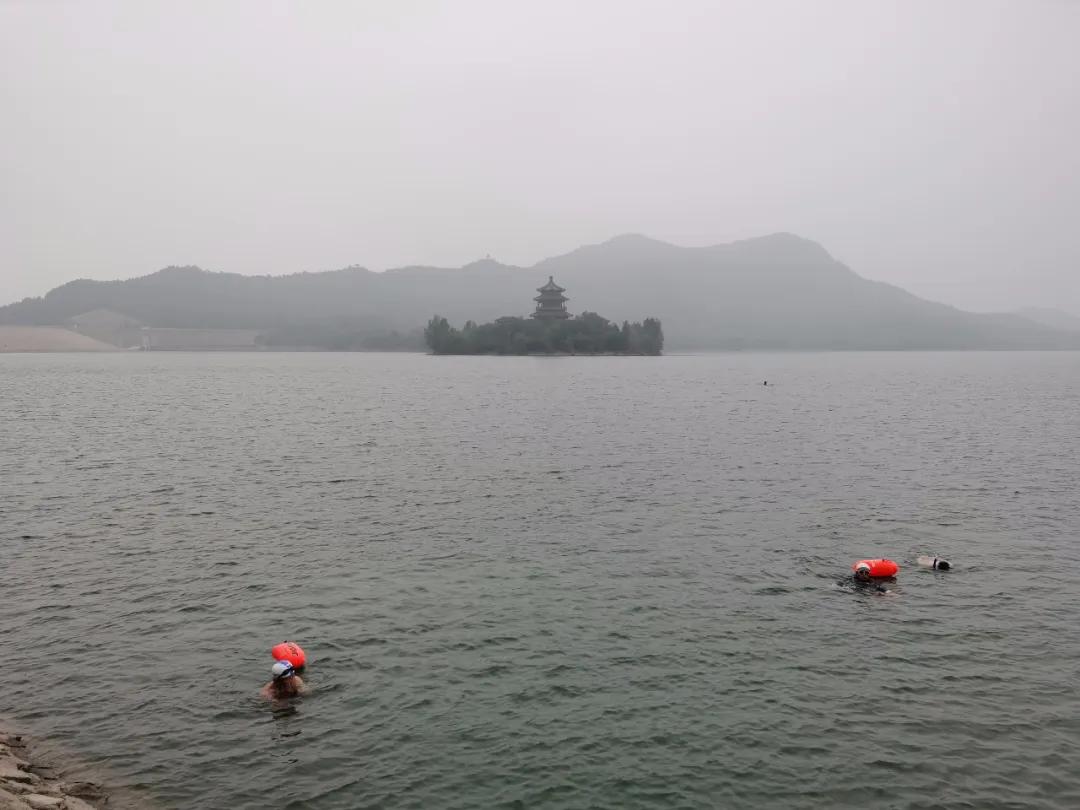 行情分析与选股技巧,不同行情选股技巧和策略