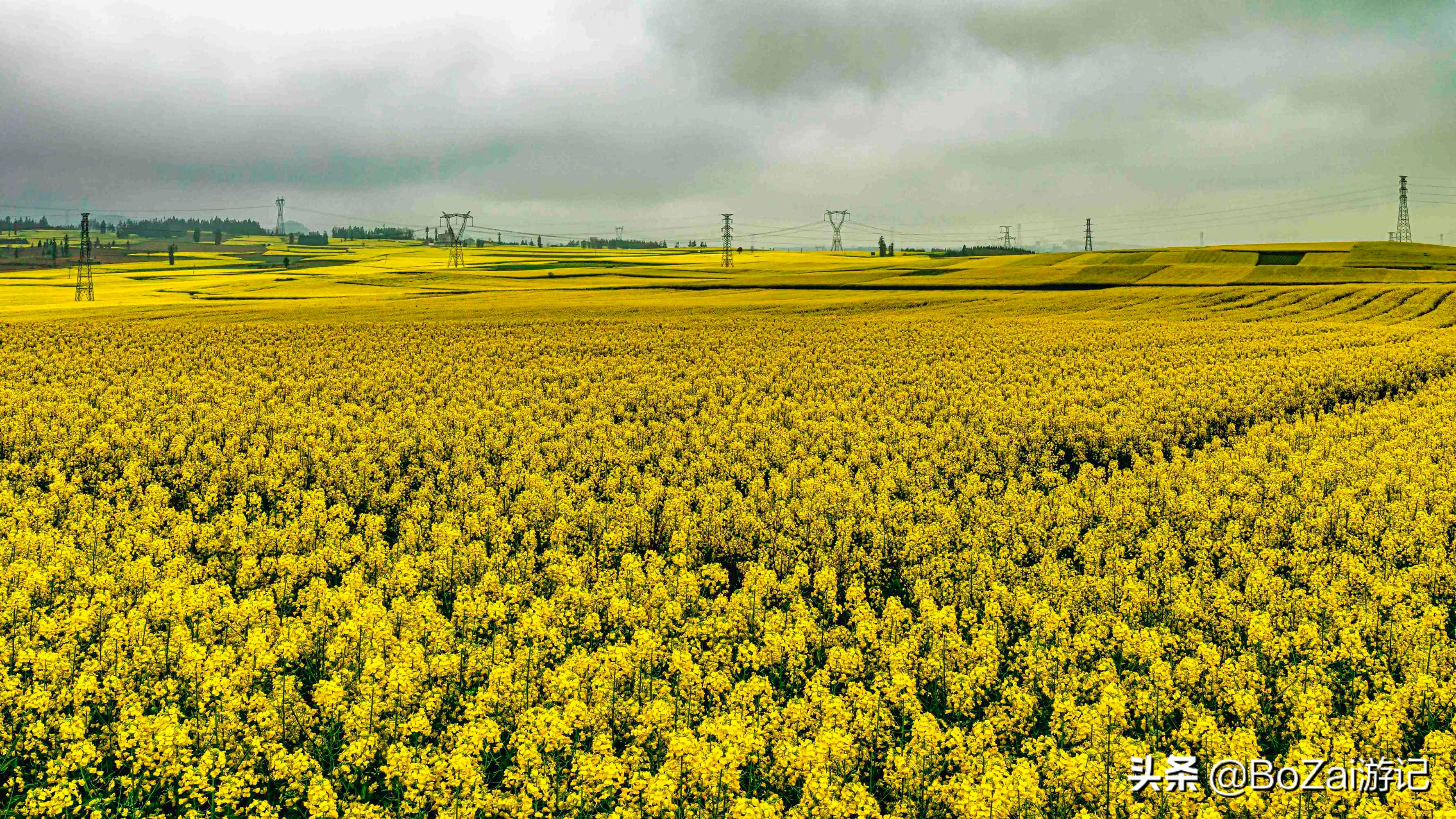 云南旅游攻略最佳线路洱海,到云南旅游必去景点推荐