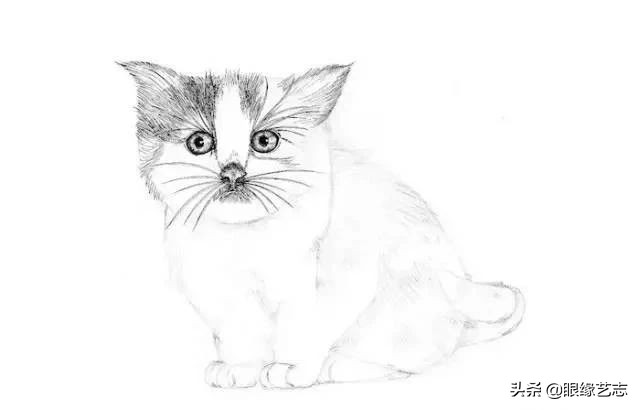 画小花猫简笔画彩色图片,画小花猫素描画