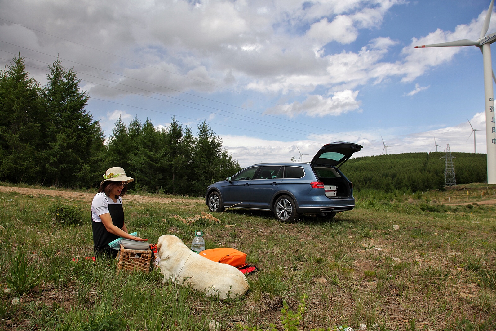 林林go视频,林林go自驾游