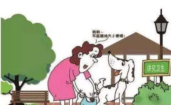 不文明养犬承担什么责任,不文明养犬行为将负法律责任