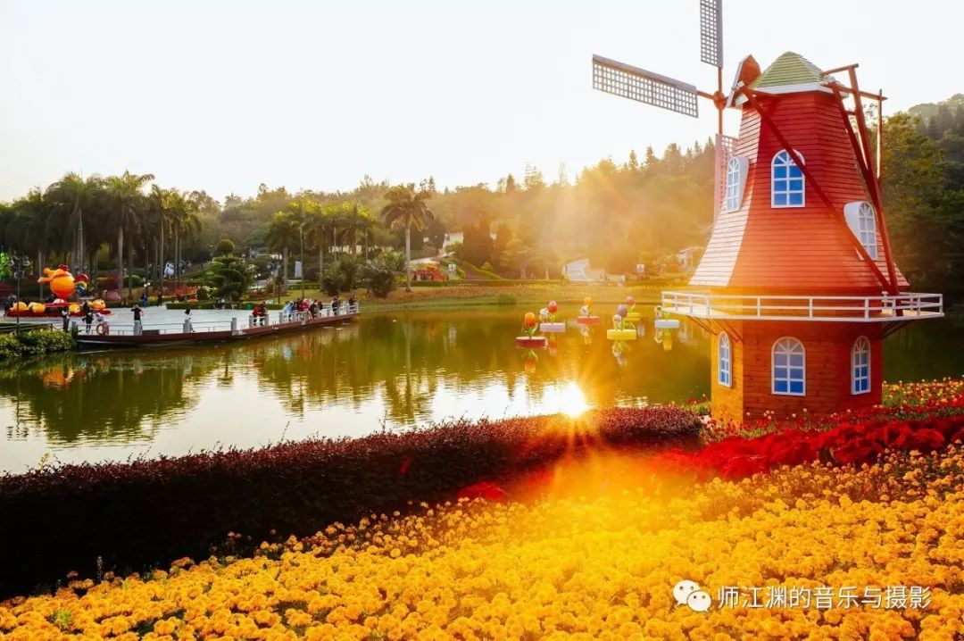 宝藏新公园周末好去处快来打卡,必打卡的宝藏公园