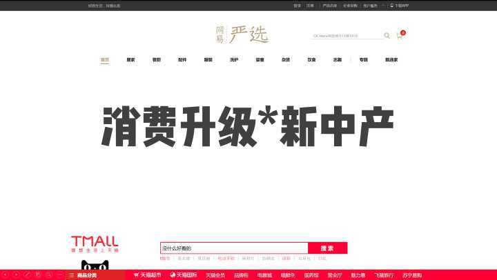 关于消费升级降级的理解,消费升级的正确方法