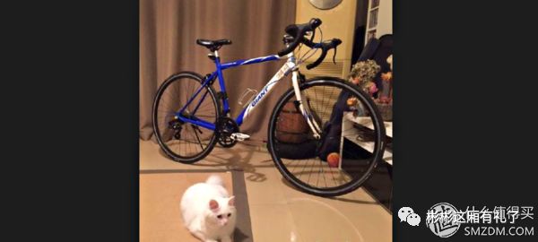 年度新词“充气（qi）宝”是神马东西？入手后欲罢不能，刚需可入