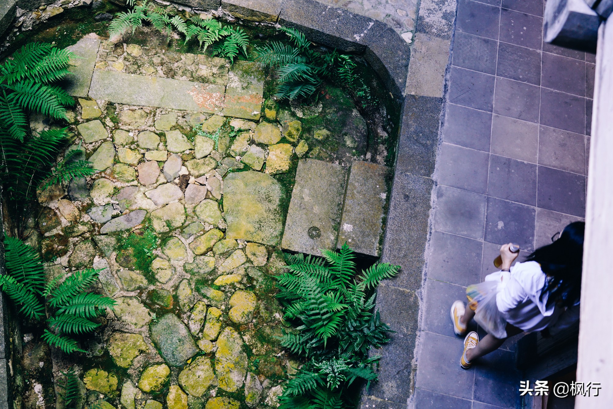 最详细实用福建土楼攻略,南靖土楼3天2晚住宿团购