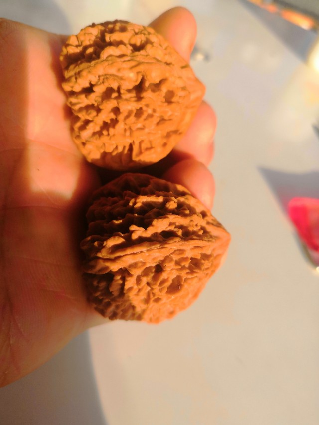 文玩核桃野生品种,核桃文玩品种官帽