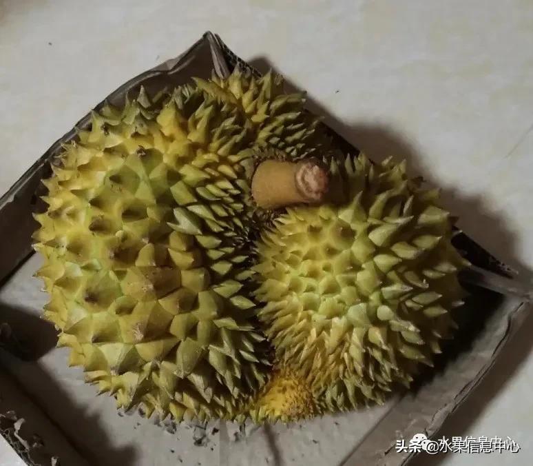 在网上买水果遇到假货怎么办,网上购买水果会被坑吗