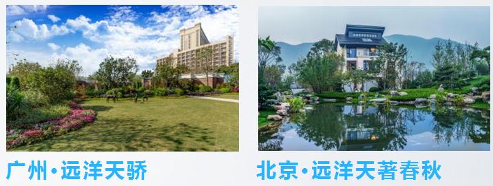 西丽湖国际科教城融合创新中心,西丽湖国际科教城石壁龙片区