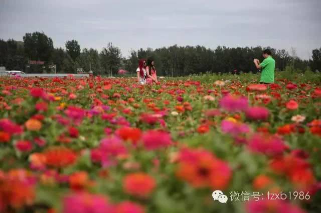 易水湖景点怎么样值得去吗,易水湖景区怎么样啊值得去吗