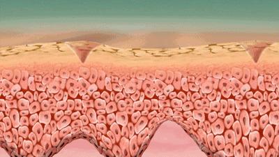 濂冲+鍙h厰棣欐按鎸佷箙鐣欓,濂介椈鍙h厰鍠烽浘棣欐按