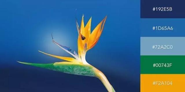 999张照片模板,999999999的创意图片