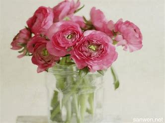 这些词语倒过来读让你笑到掉牙,这些词语你都读正确了吗