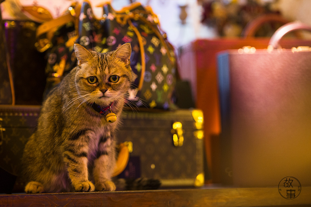 古着包是正品吗,别再说古着包是死人背过的吗