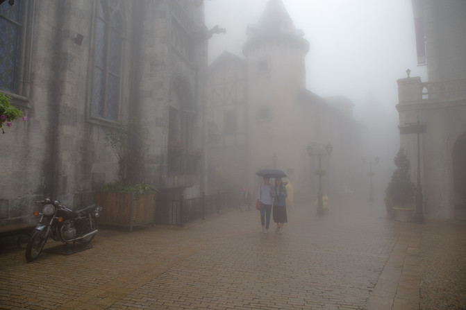 华人在越南经济地位,华人在越南的历史