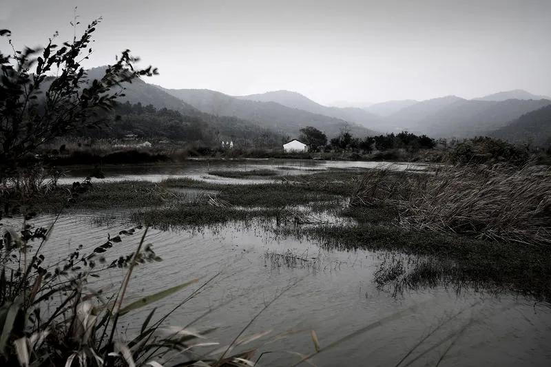 为什么现在的男人都缺乏阳刚之气,为什么现在的男人没有阳刚之气了