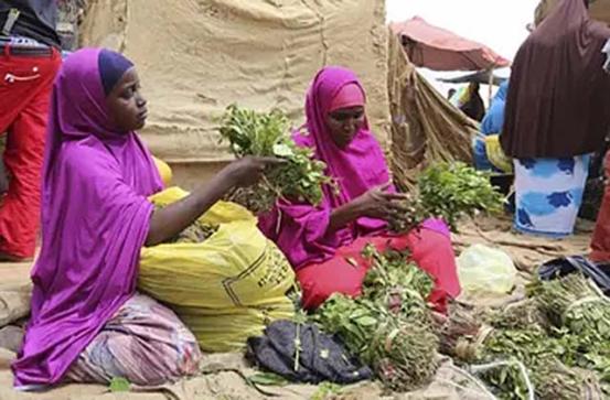 一个被人遗忘的国家,一个被人们遗忘的战争