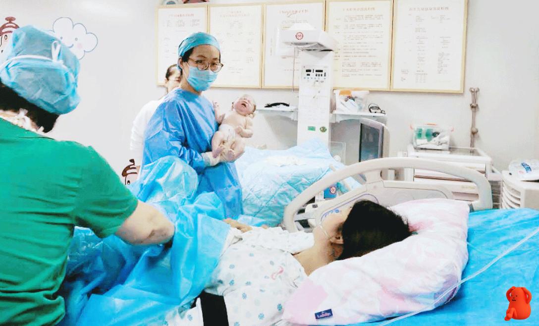 分娩开十指指的是宫颈口开吗,分娩开十指需要多少时间