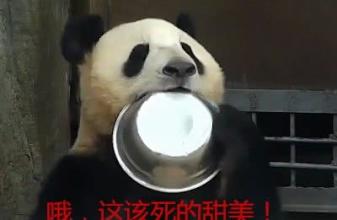 蚩尤骑熊猫战败图,当年蚩尤真的是骑着熊猫打仗的吗