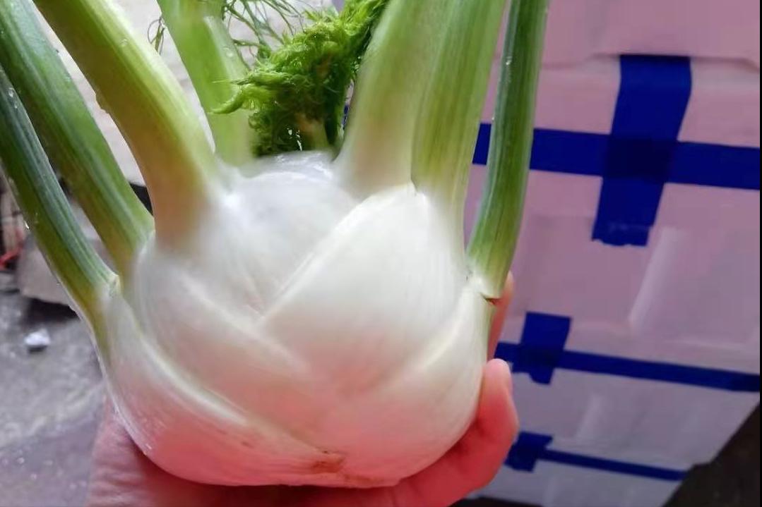 去俄罗斯种地国家有什么政策,普通人去俄罗斯怎么才能种地