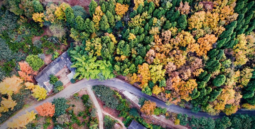 成都公园城市建设令人欣喜,成都打造世界级公园城市