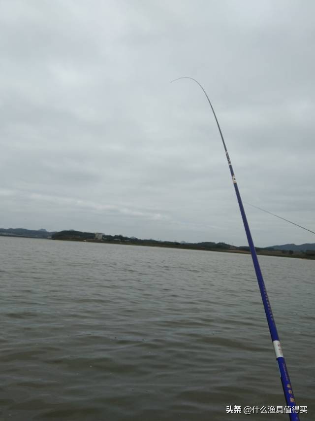 冬天钓鲫鱼小综合鱼竿,寒潮大风天钓鱼